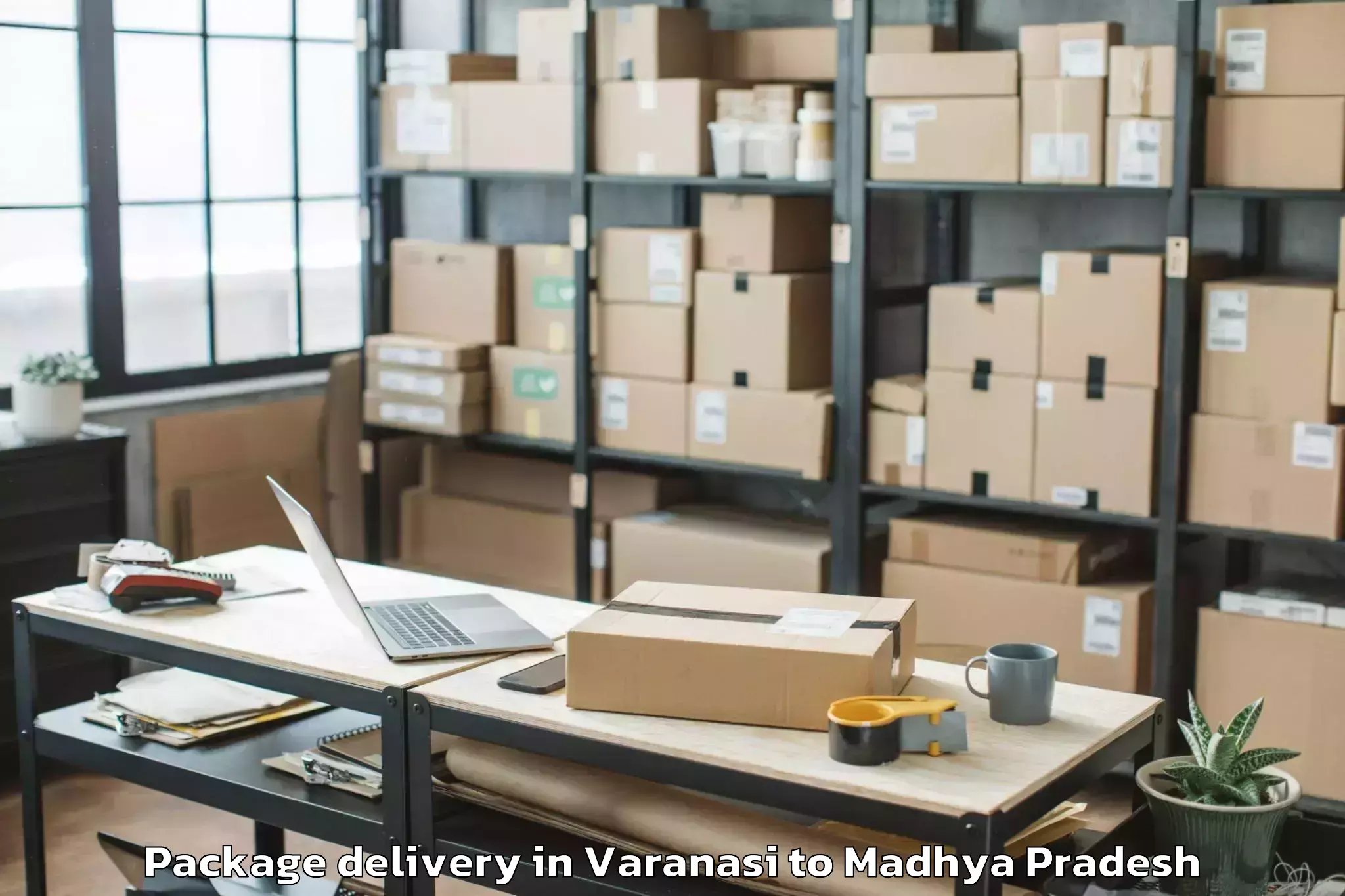 Quality Varanasi to Medi Caps University Indore Package Delivery